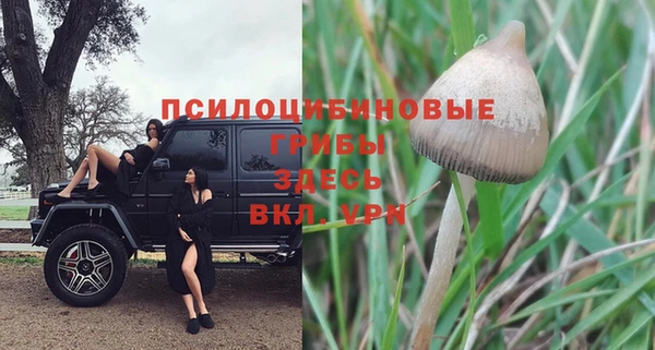 ешки Алексин
