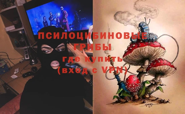ешки Алексин