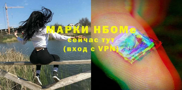 ешки Алексин