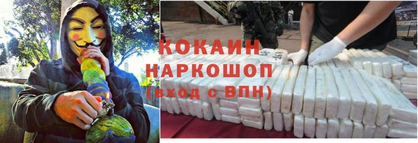 ешки Алексин