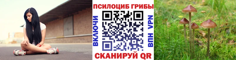 Галлюциногенные грибы MAGIC MUSHROOMS  площадка Telegram  Миасс 